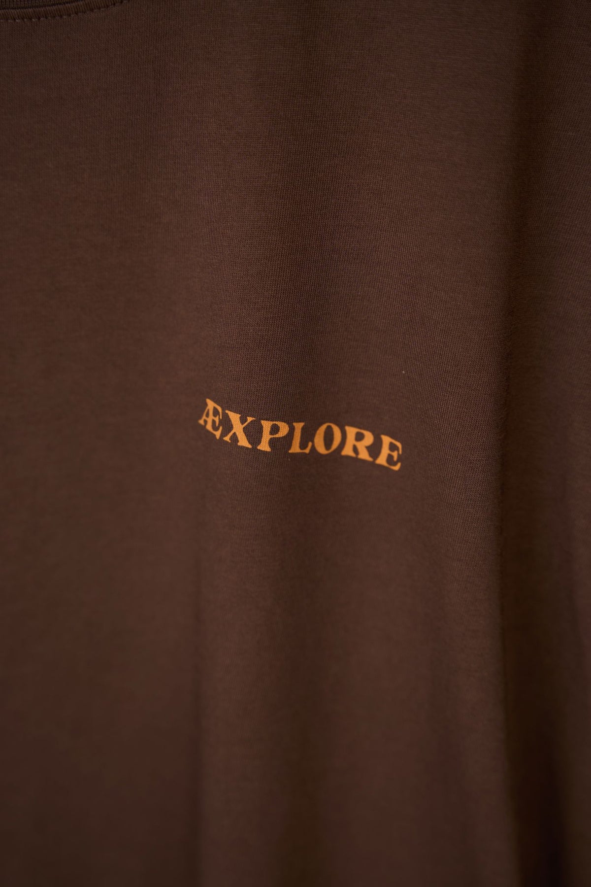Tent Takeaway T-Shirt Chicory Coffee