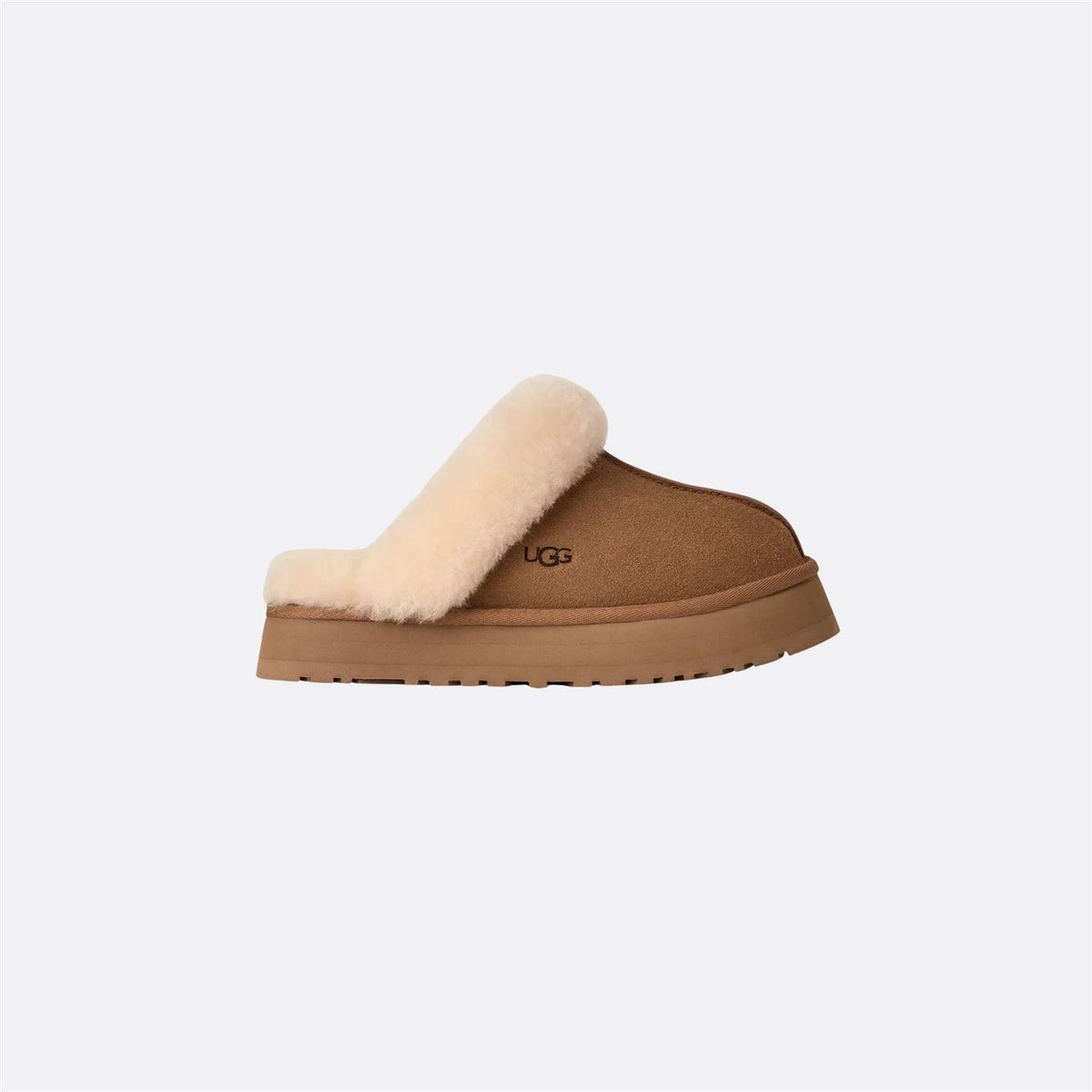 W Disquette Chestnut