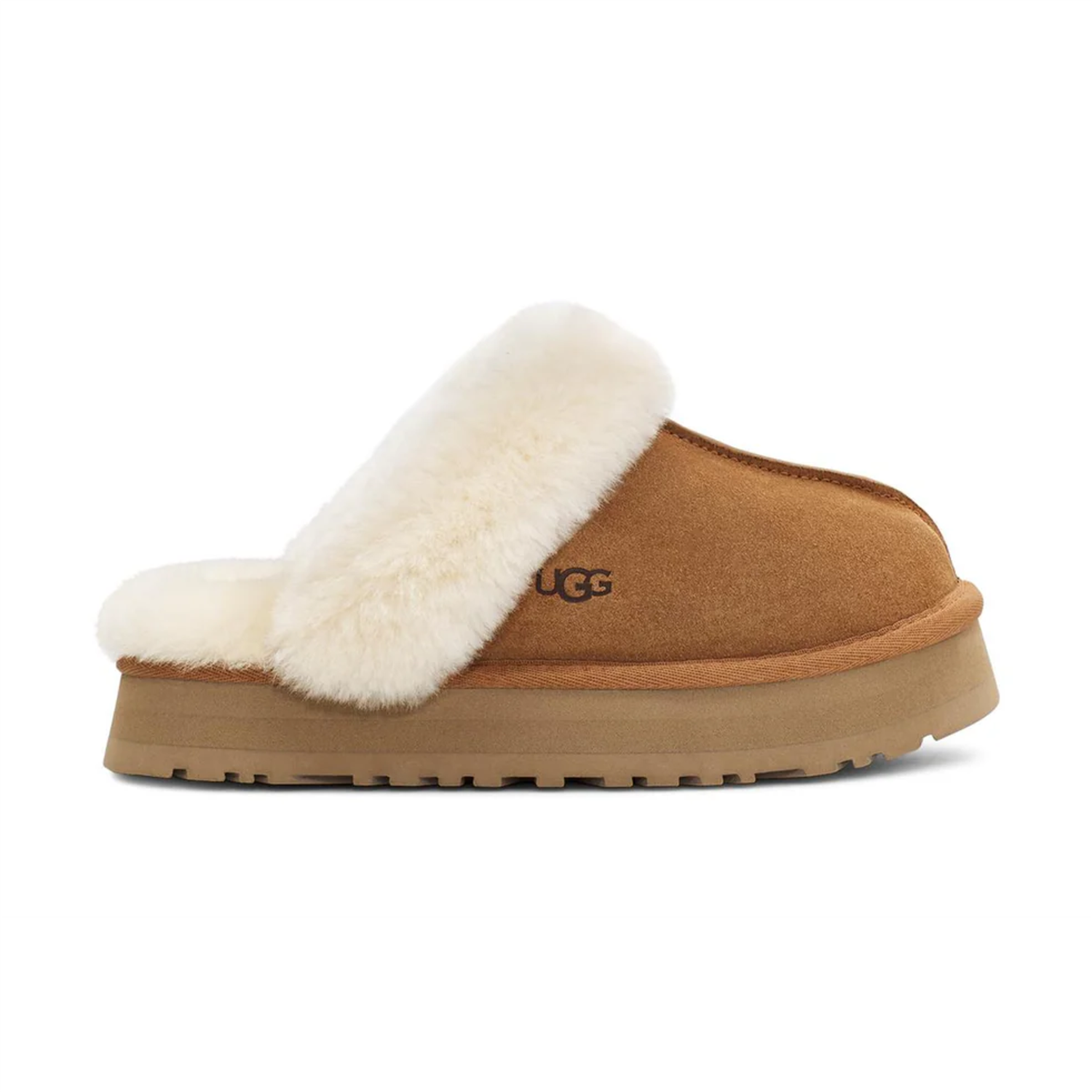 W Disquette Chestnut