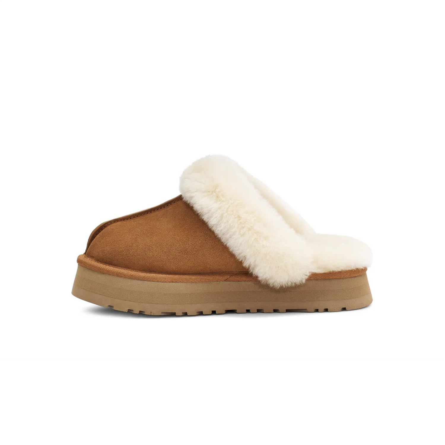 W Disquette Chestnut