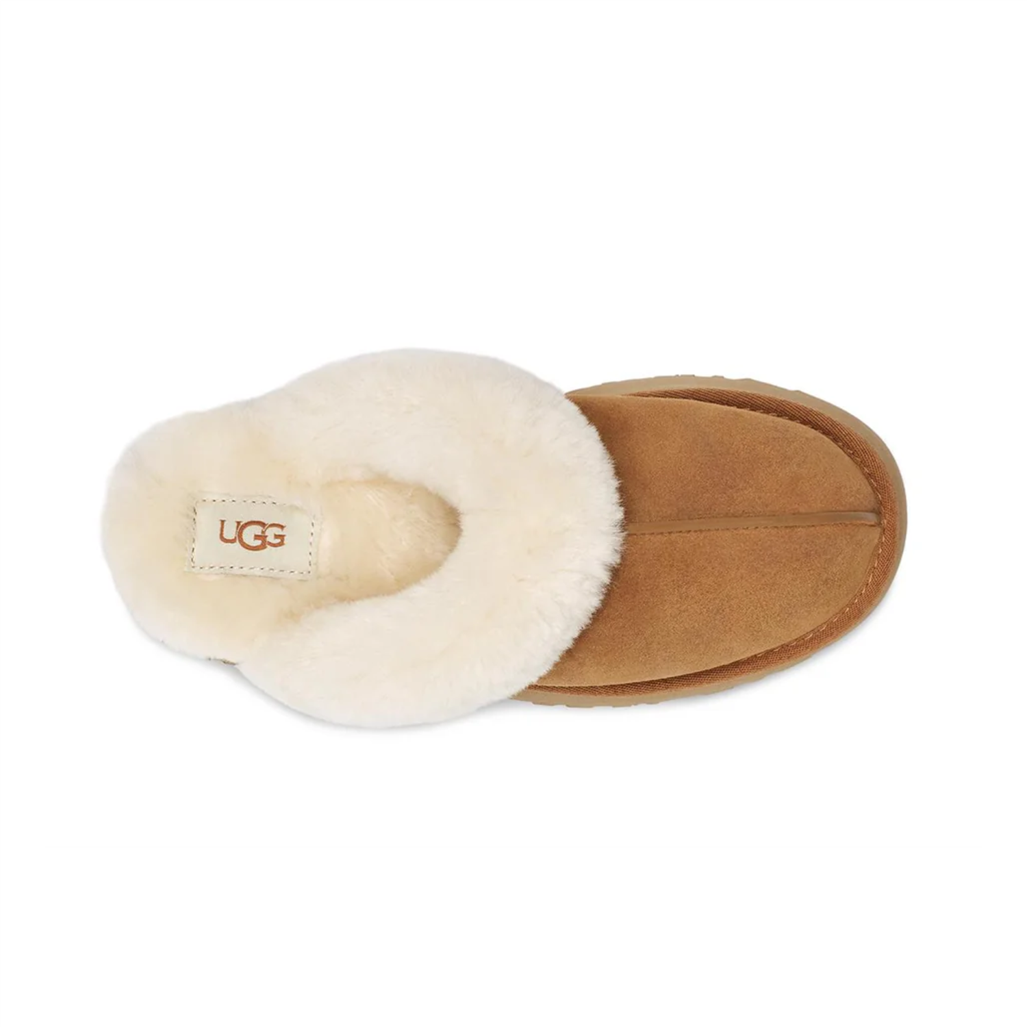 W Disquette Chestnut