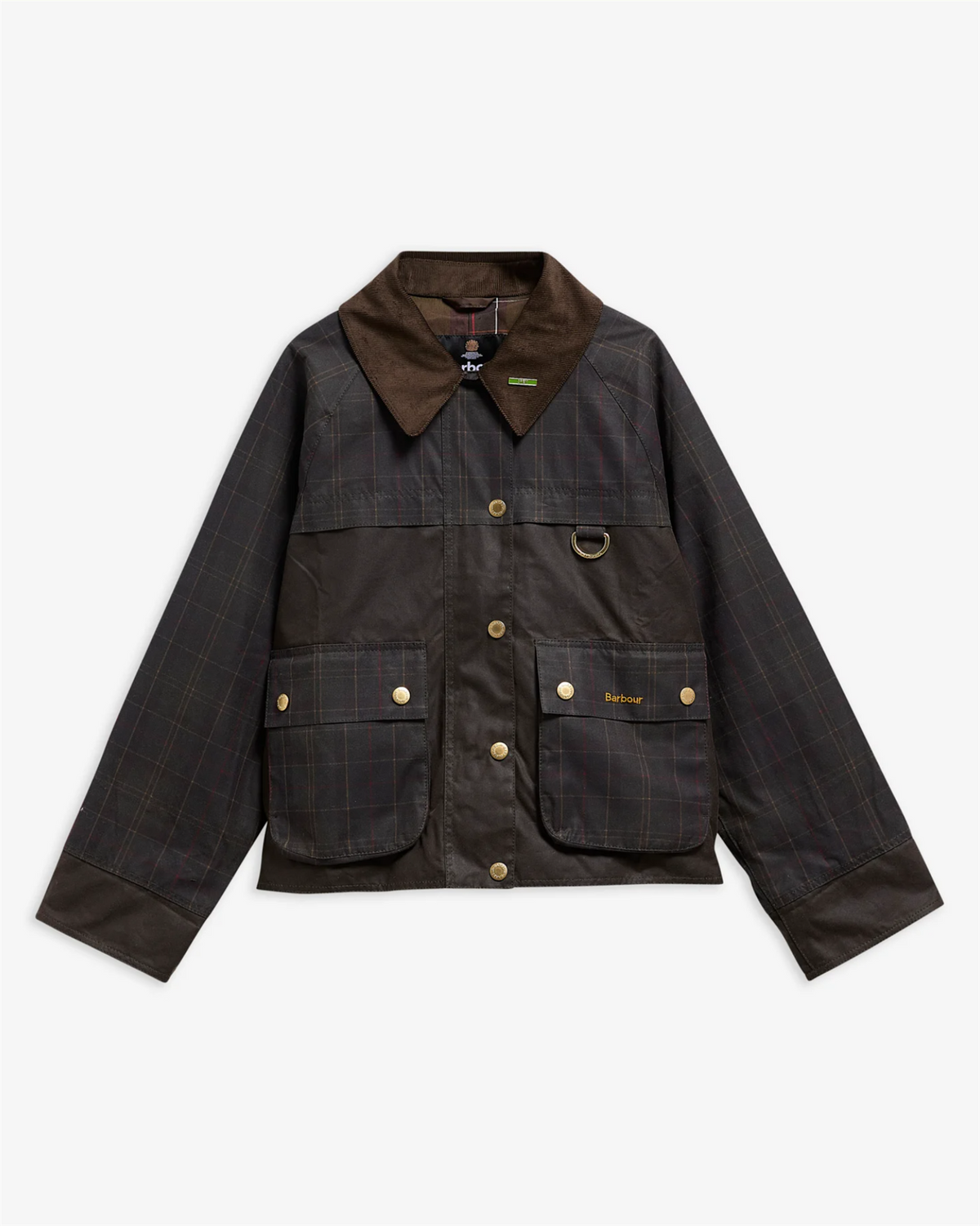 TR Icons Spey Olive