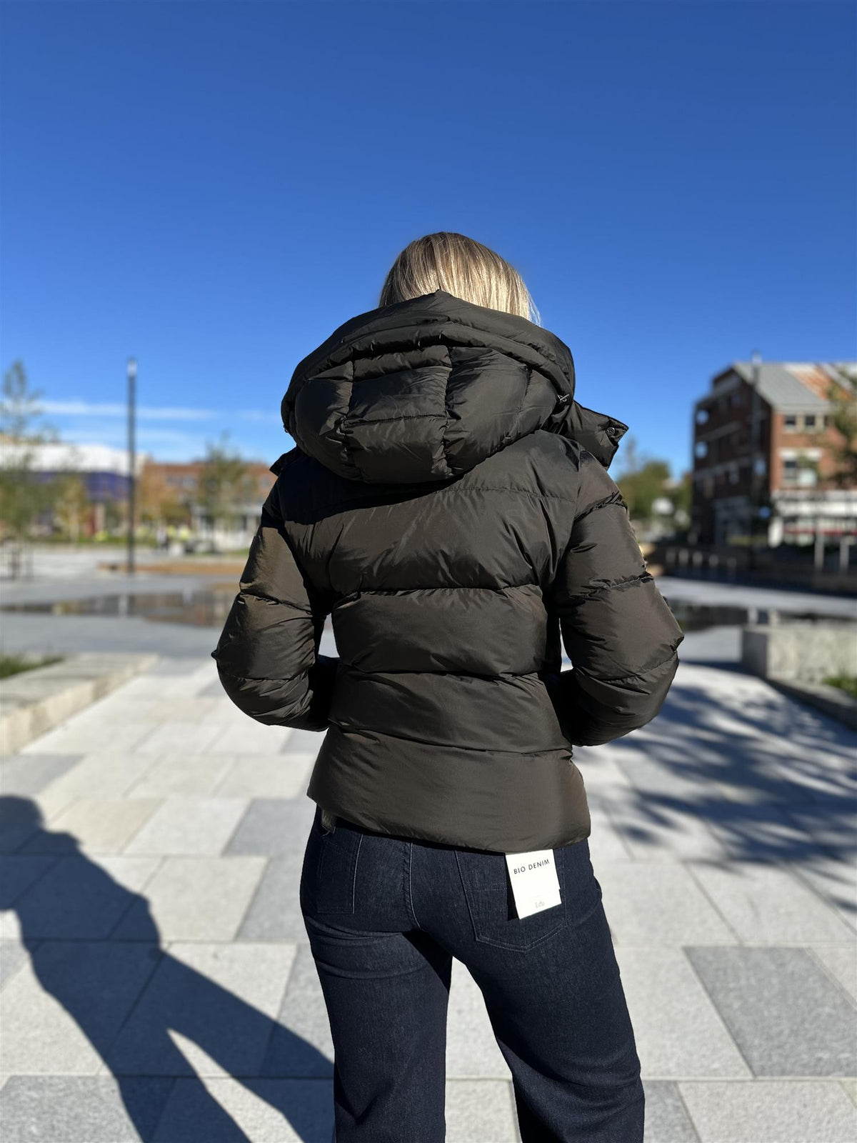 Stella Jacket Olive