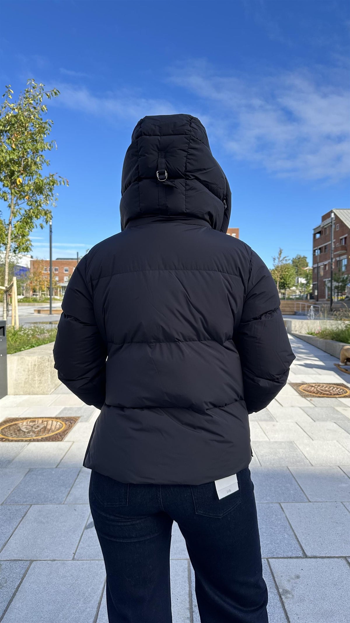 Venus Jacket Black